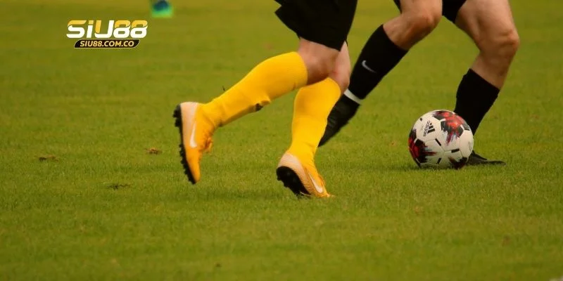 3 mẹo cược kèo tài xỉu bất bại từ cao thủ