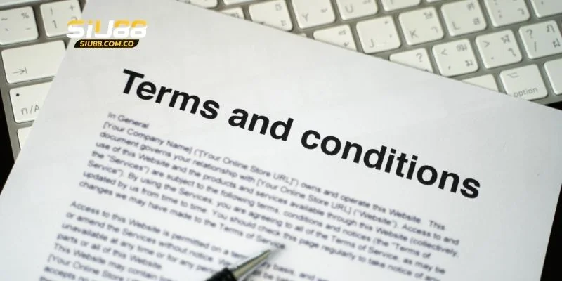 3 quyền lợi dành cho thành viên về điều khoản điều kiện