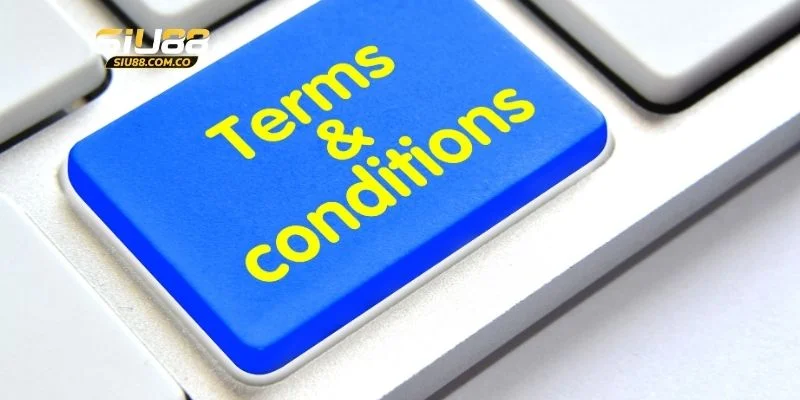 4 mục cơ bản trong quy định điều khoản và điều kiện