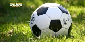 Chi tiết cách đọc kèo tài xỉu châu Âu