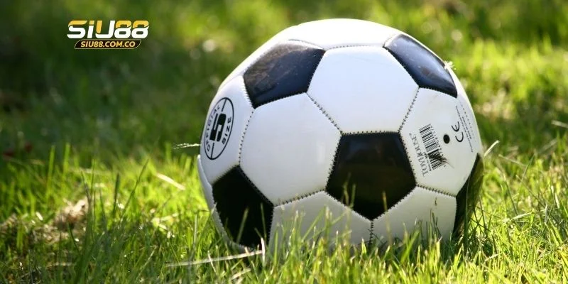 Chi tiết cách đọc kèo tài xỉu châu Âu