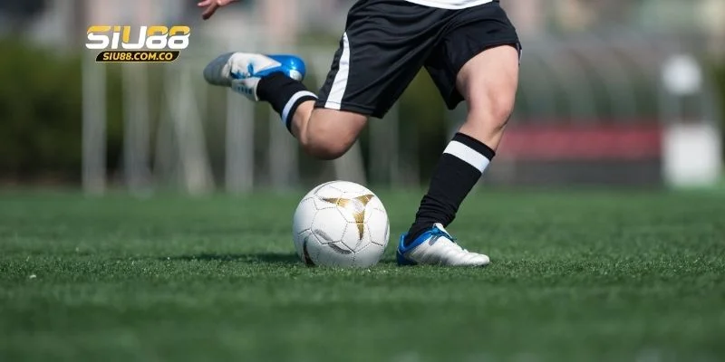 Cược tài xỉu châu Âu được hội viên săn đón