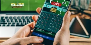 Hướng dẫn chọn tips bóng đá uy tín với 3 dấu hiệu