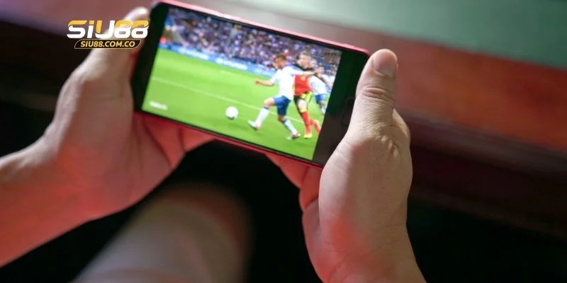 Hướng dẫn chọn tips bóng đá với 3 mẹo bất bại